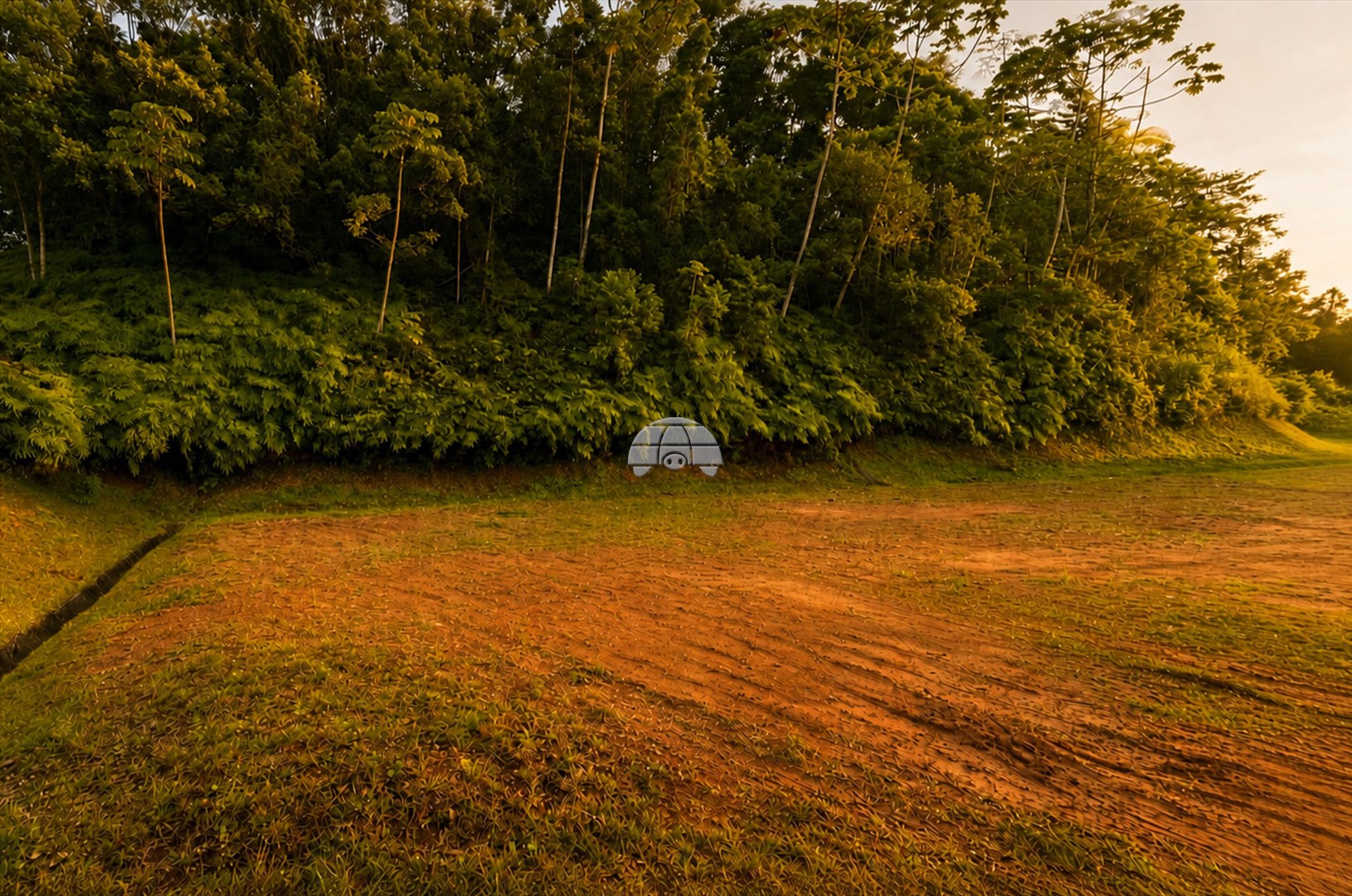 Terreno/Área à venda em Floresta, Joinville — Portal Chave Fácil