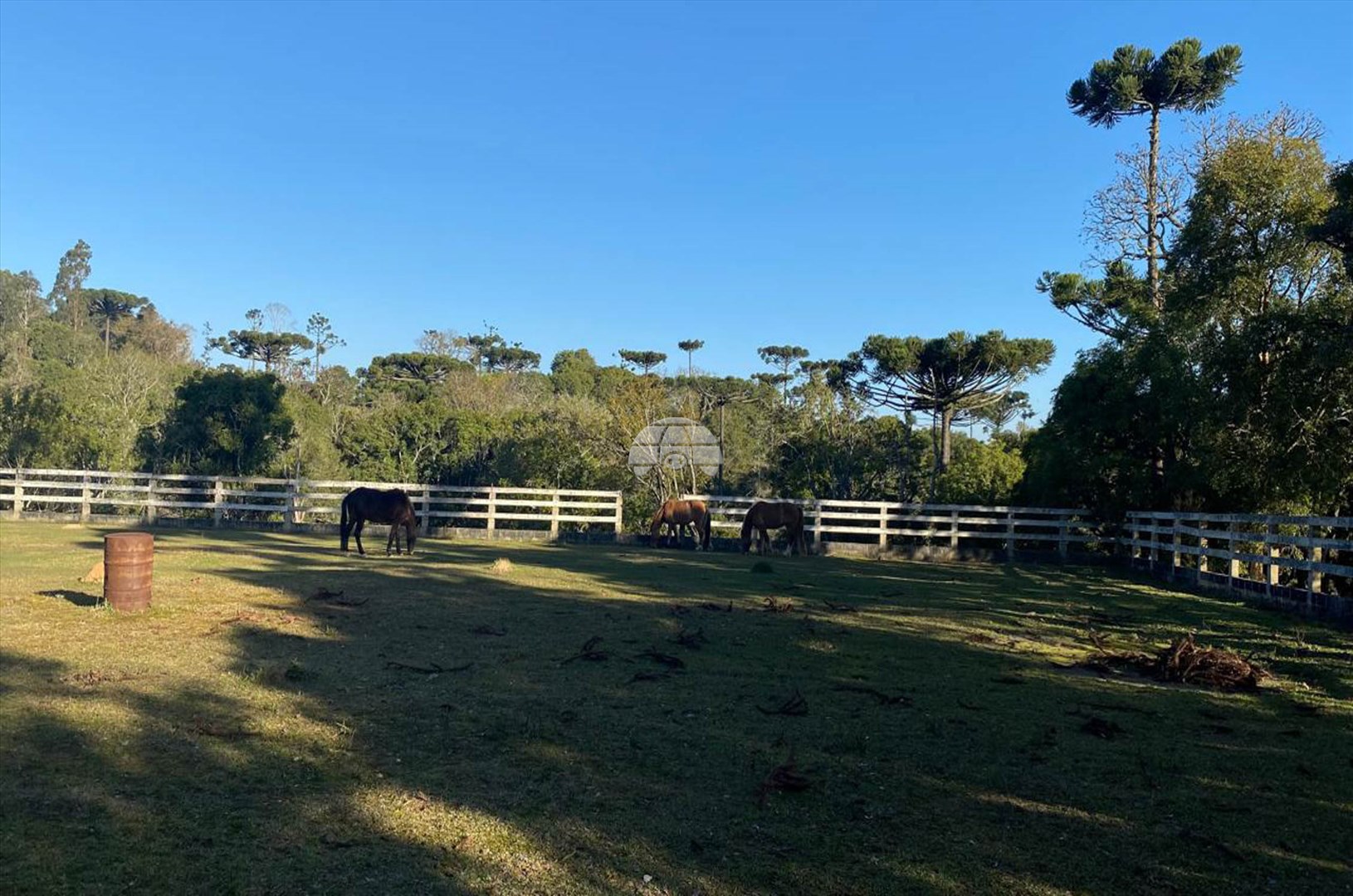 Terreno/Área à venda em Areia Branca, Mandirituba — Portal Chave Fácil