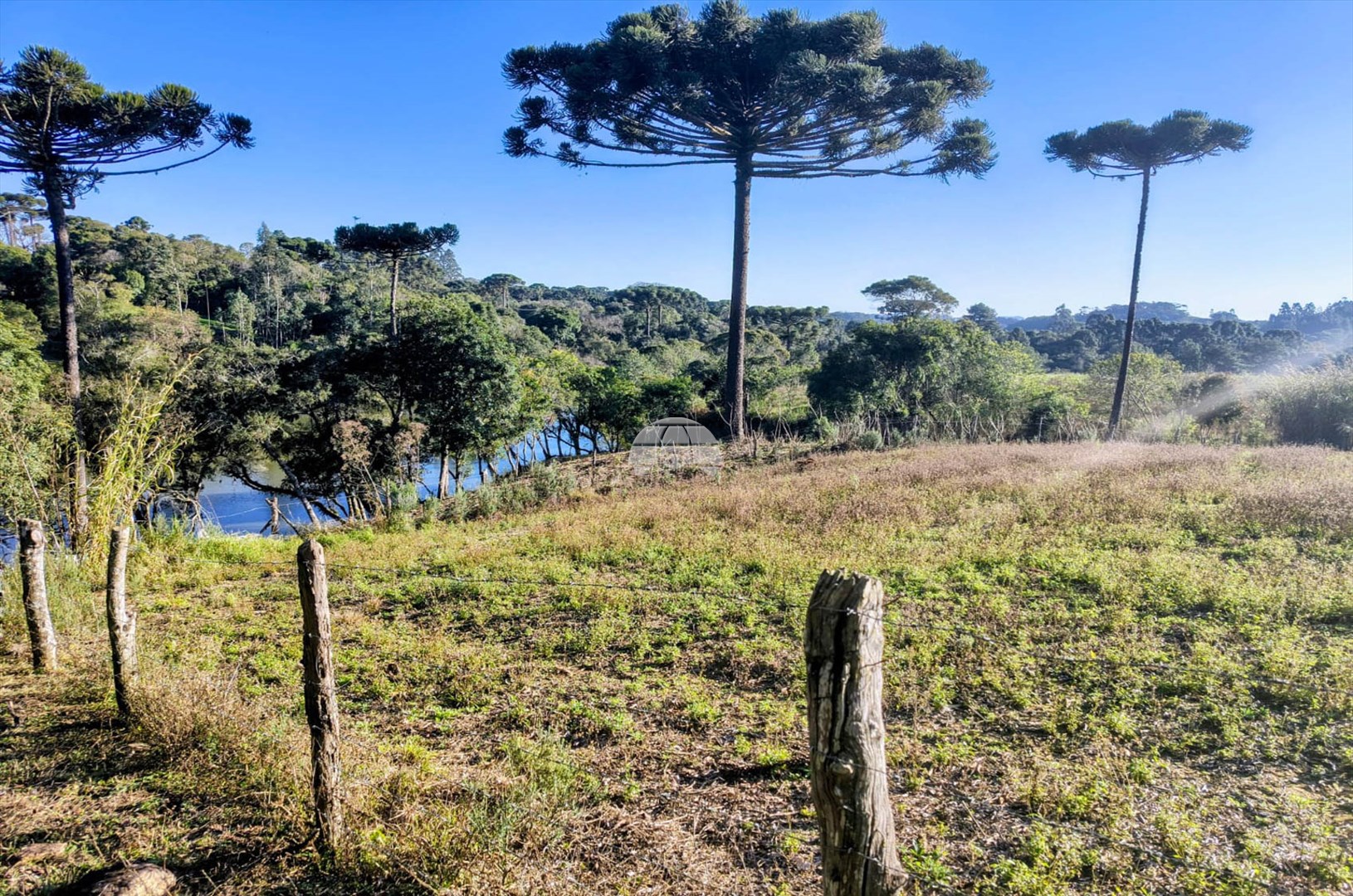 Terreno/Área à venda em Areia Branca, Mandirituba — Portal Chave Fácil