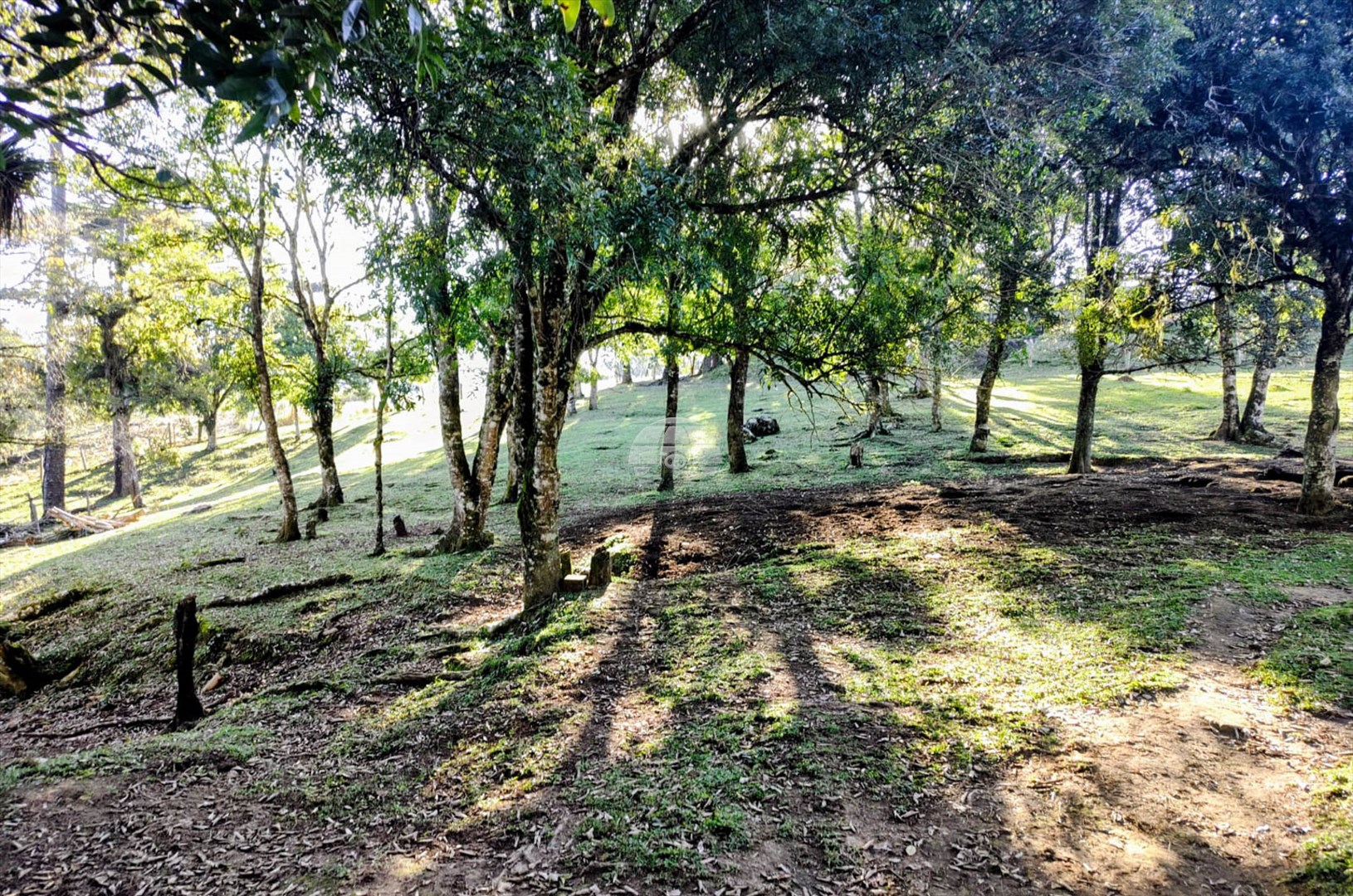 Terreno/Área à venda em Areia Branca, Mandirituba — Portal Chave Fácil