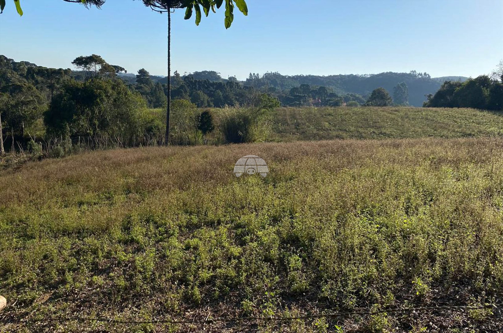 Terreno/Área à venda em Areia Branca, Mandirituba — Portal Chave Fácil
