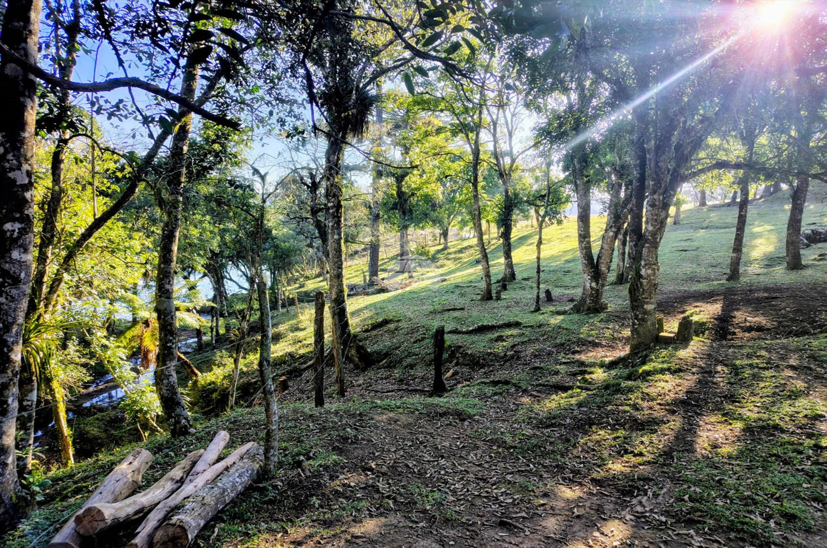 Terreno/Área à venda em Areia Branca, Mandirituba — Portal Chave Fácil