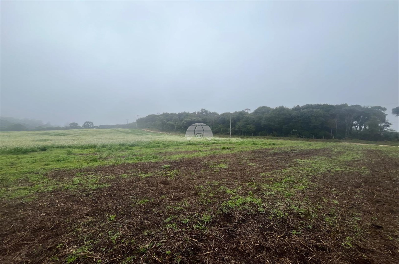 Terreno à venda em Marmeleiro, Almirante Tamandaré — Portal Chave Fácil