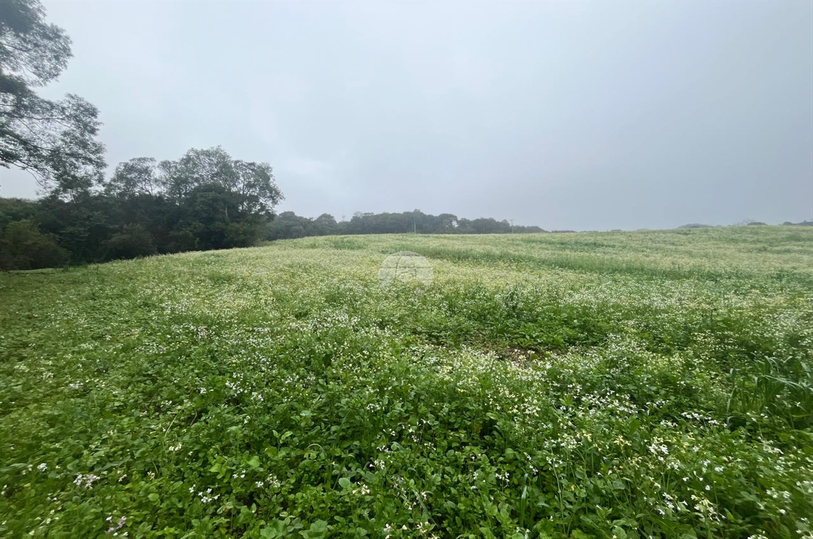 Terreno à venda em Marmeleiro, Almirante Tamandaré — Portal Chave Fácil