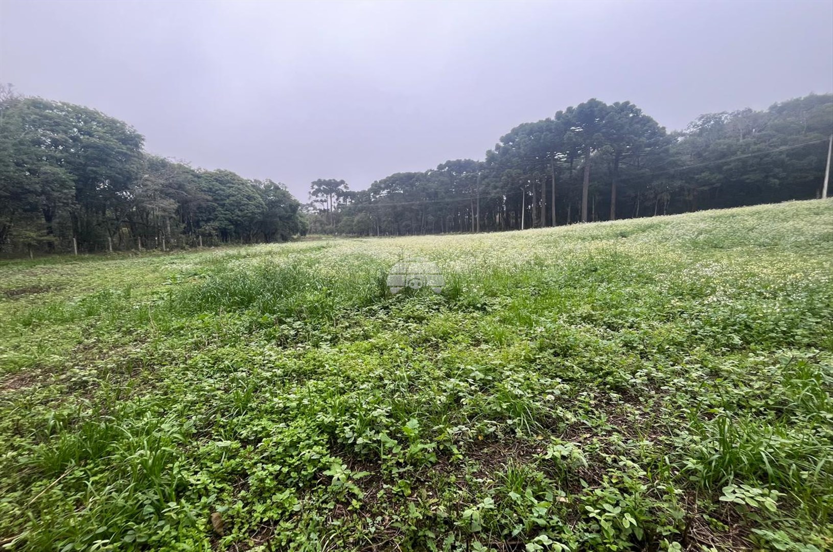 Terreno à venda em Marmeleiro, Almirante Tamandaré — Portal Chave Fácil