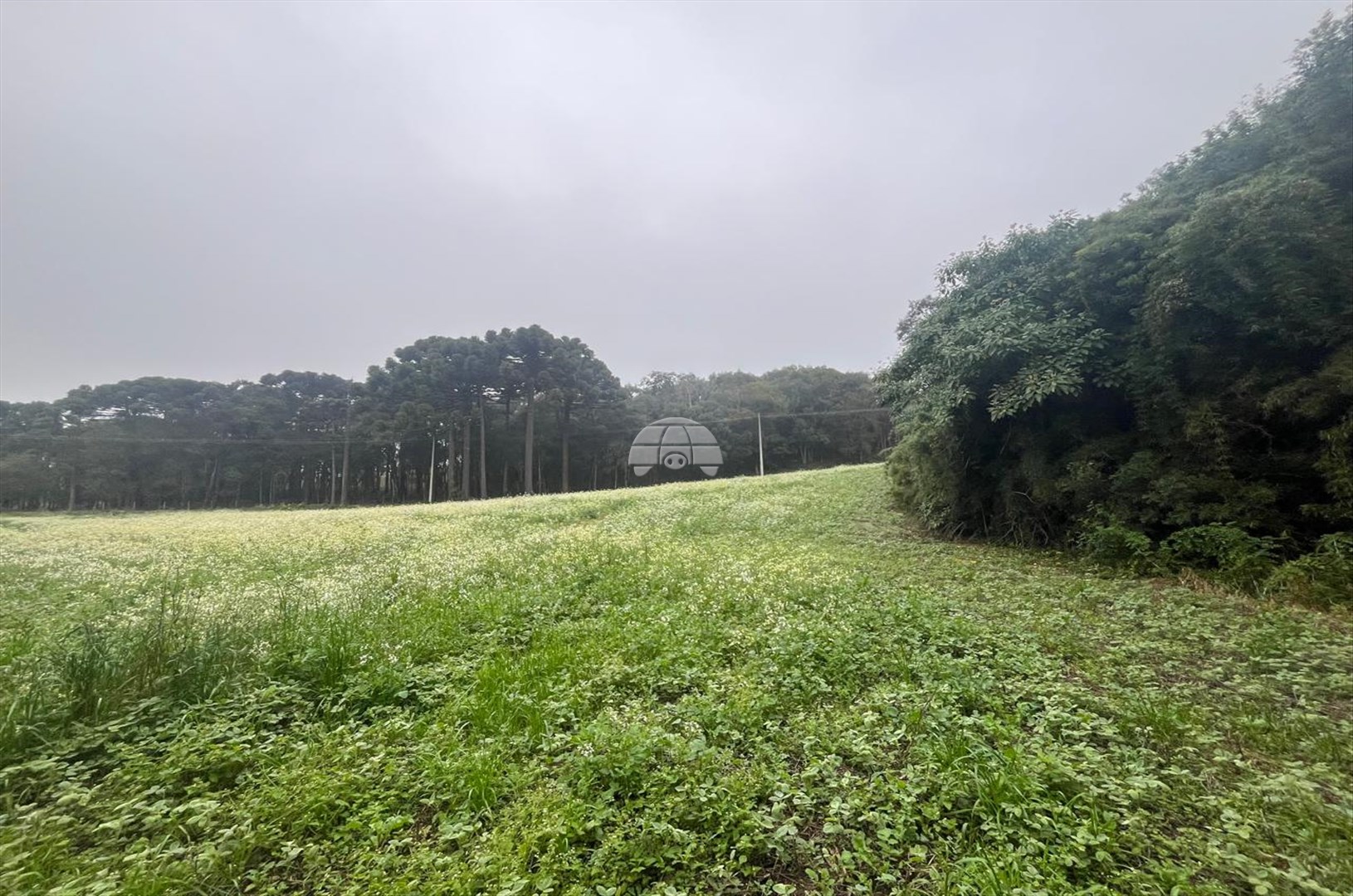 Terreno à venda em Marmeleiro, Almirante Tamandaré — Portal Chave Fácil