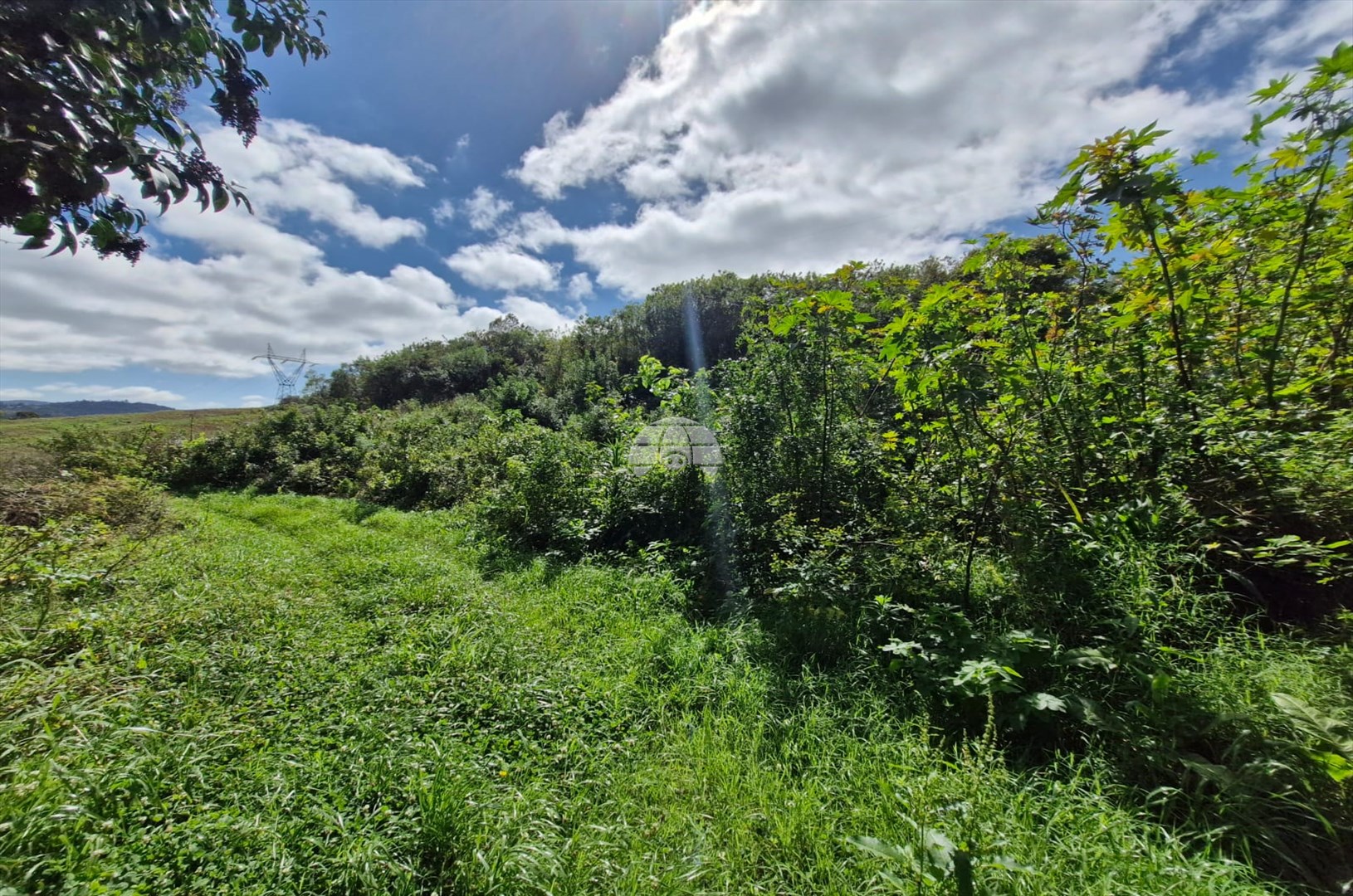 Terreno/Área à venda em Lamenha Grande, Almirante Tamandaré — Portal Chave Fácil