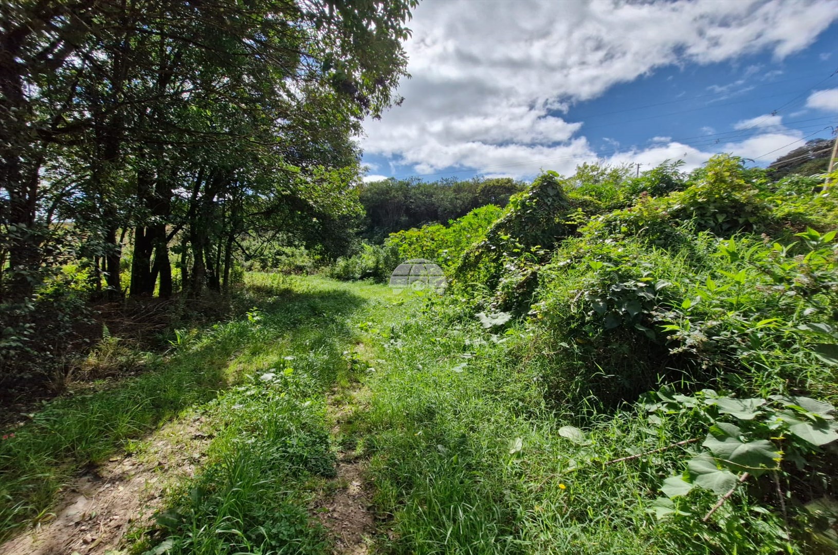Terreno/Área à venda em Lamenha Grande, Almirante Tamandaré — Portal Chave Fácil