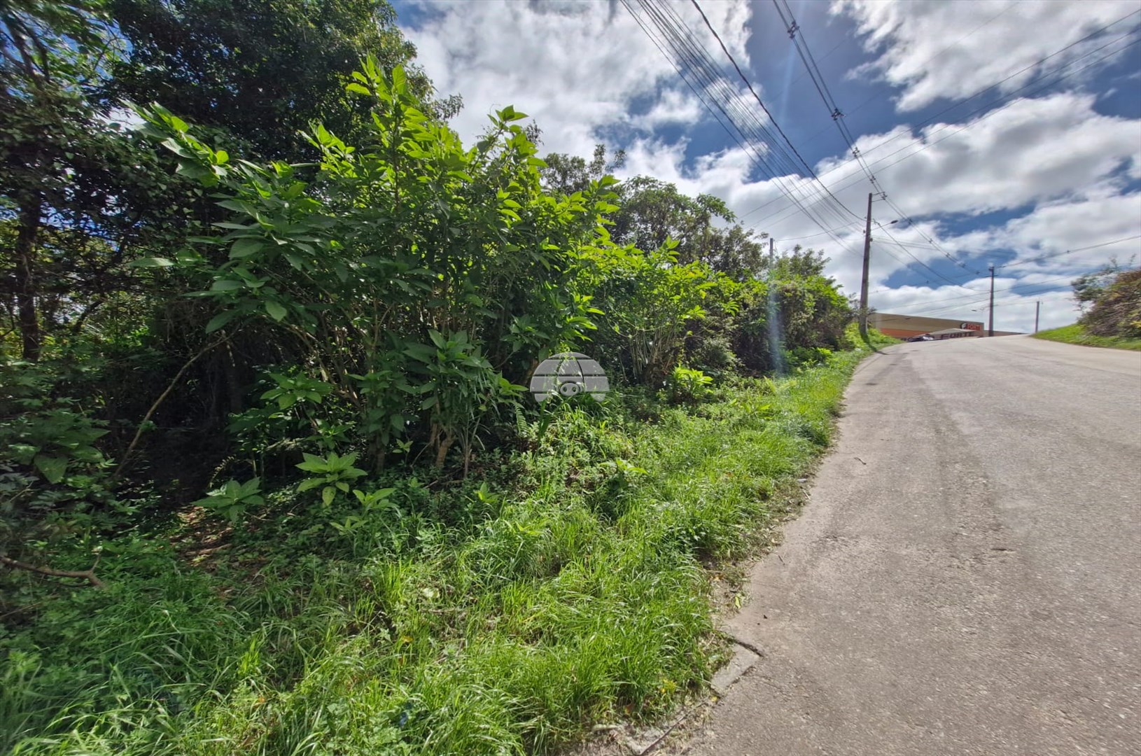 Terreno/Área à venda em Lamenha Grande, Almirante Tamandaré — Portal Chave Fácil