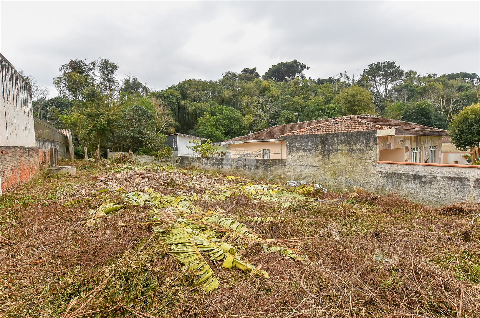 Terreno Residencial para Venda no Bairro Pilarzinho ref. 228267 (3 / 7)