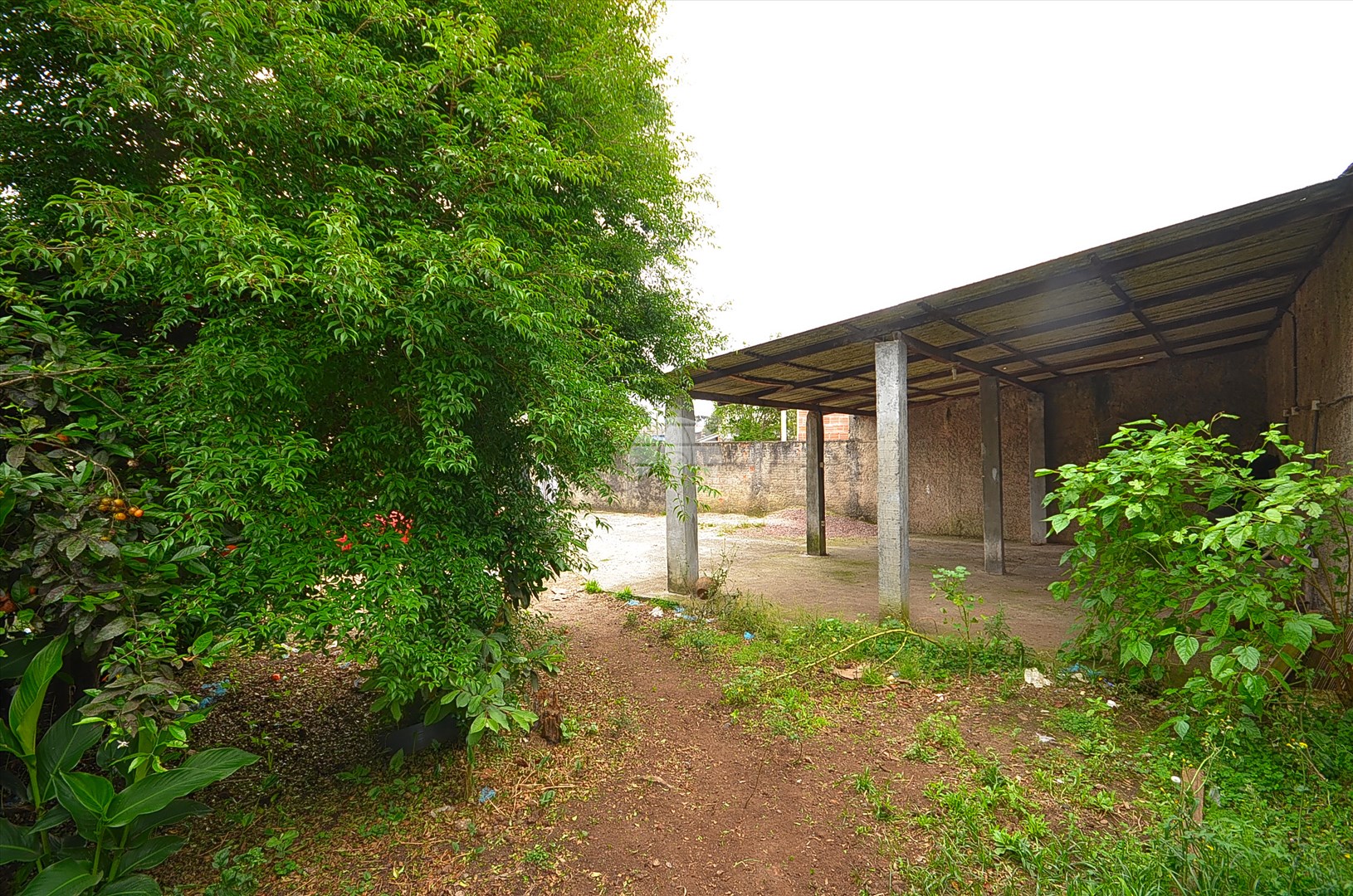 Terreno/Área à venda em Orleans, Curitiba — Portal Chave Fácil
