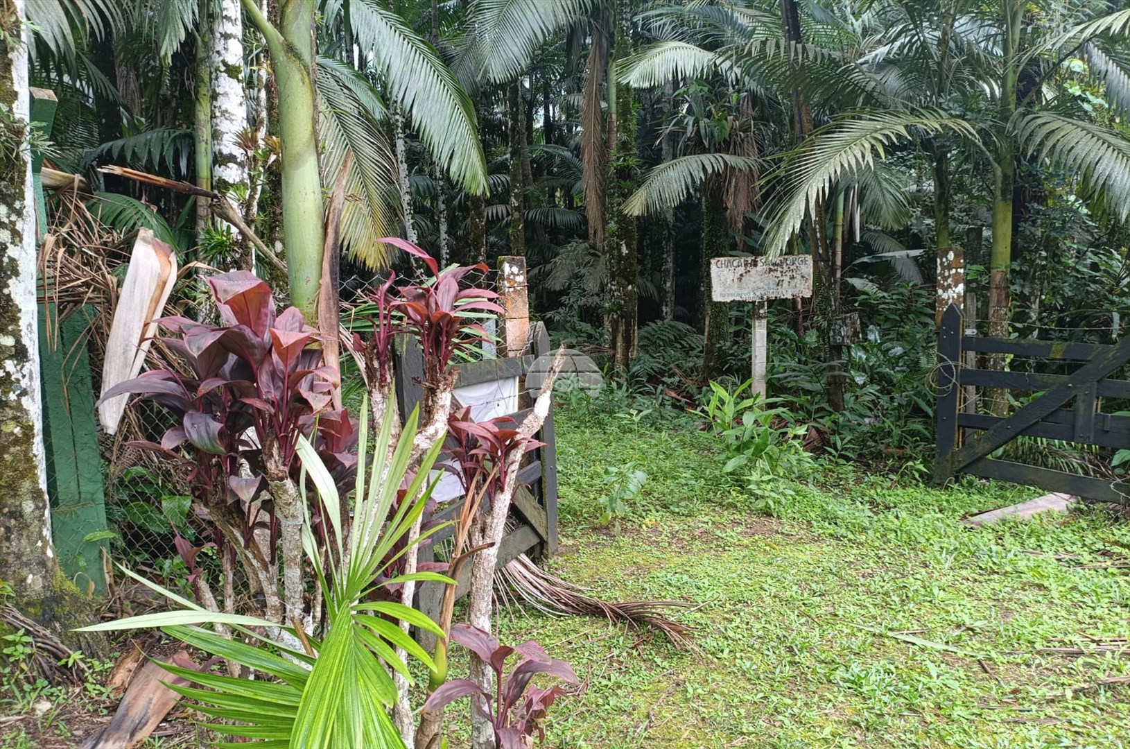 Fazenda à venda em Estrada Do Cacatu, Antonina — Portal Chave Fácil