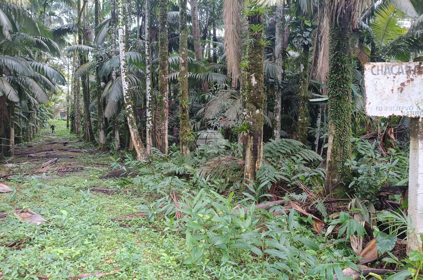 Fazenda à venda em Estrada Do Cacatu, Antonina — Portal Chave Fácil
