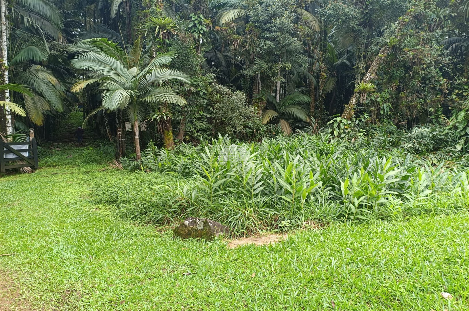 Fazenda à venda em Estrada Do Cacatu, Antonina — Portal Chave Fácil