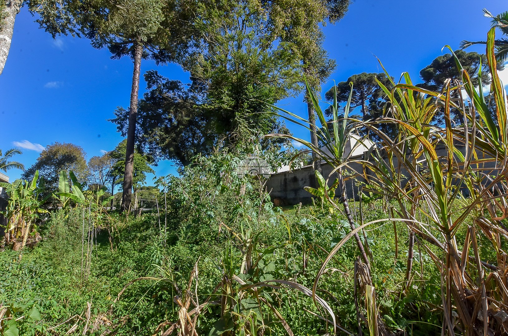 Terreno/Área à venda em Cidade Industrial, Curitiba — Portal Chave Fácil