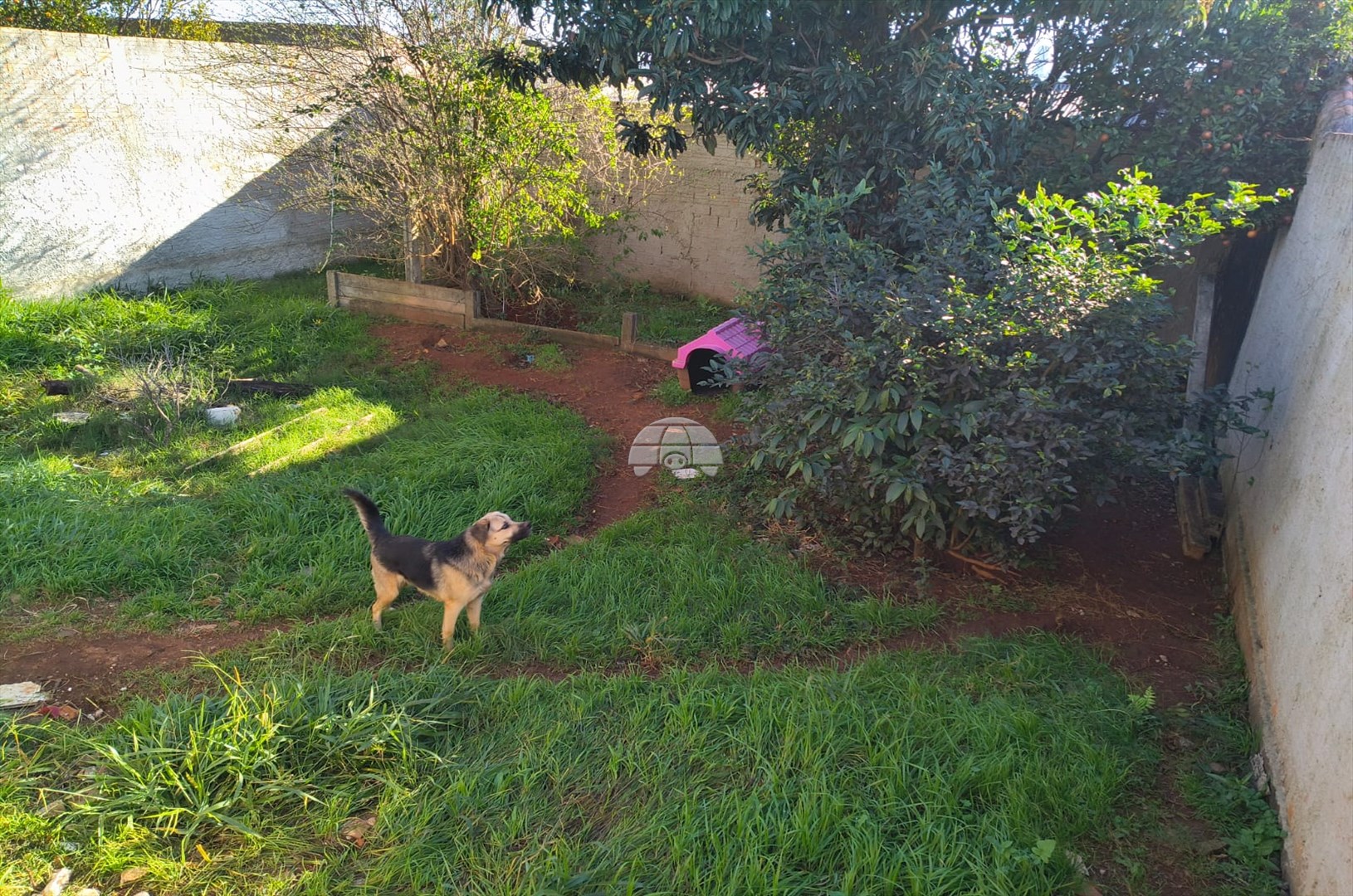 Casa à venda em Uvaranas, Ponta Grossa — Portal Chave Fácil