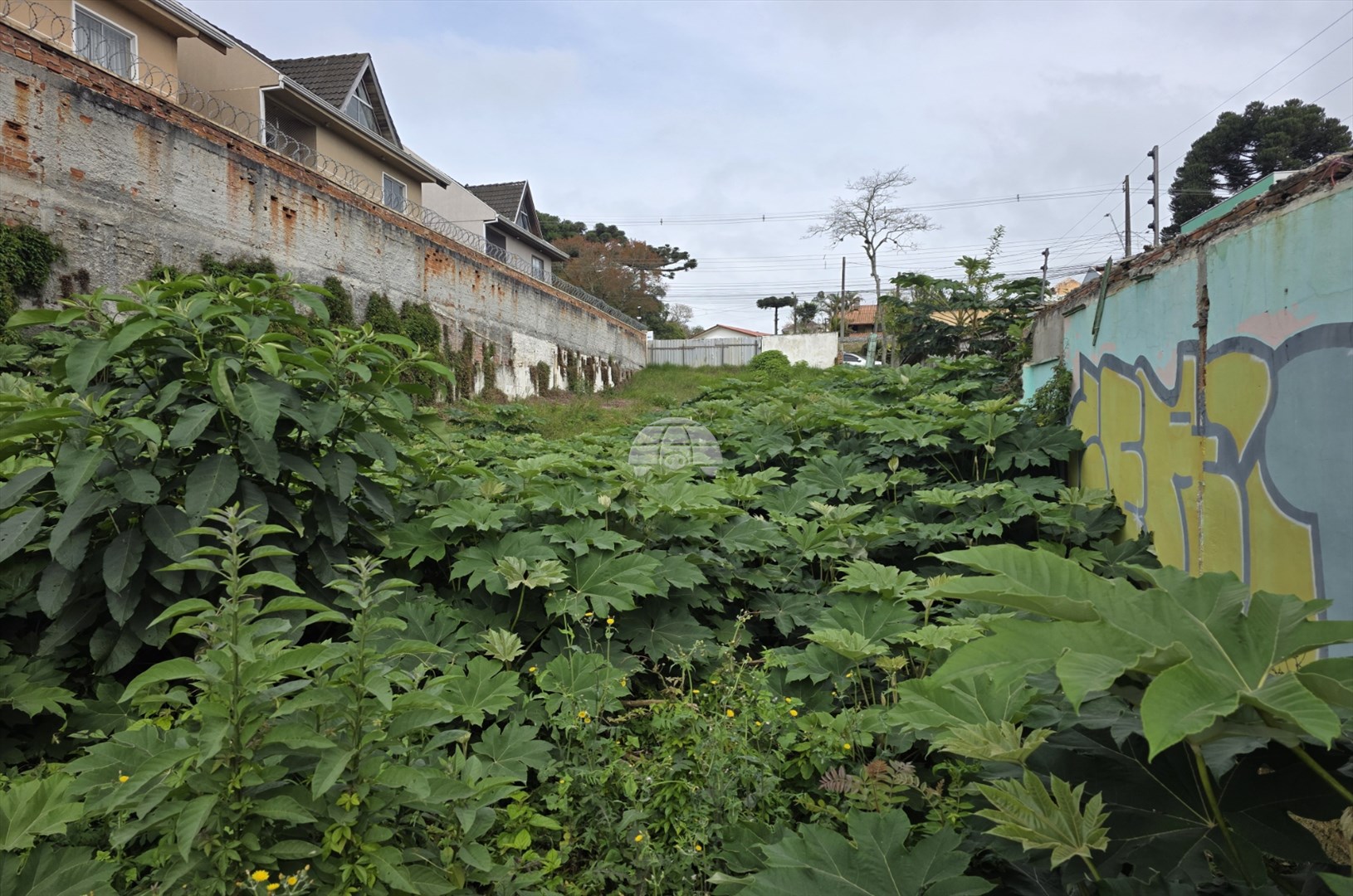 Terreno/Área à venda em Barreirinha, Curitiba — Portal Chave Fácil