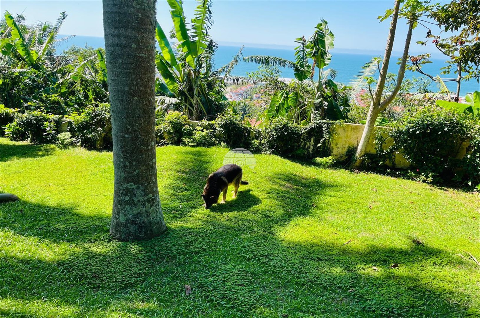 Casa à venda em Praia Brava, Florianópolis — Portal Chave Fácil
