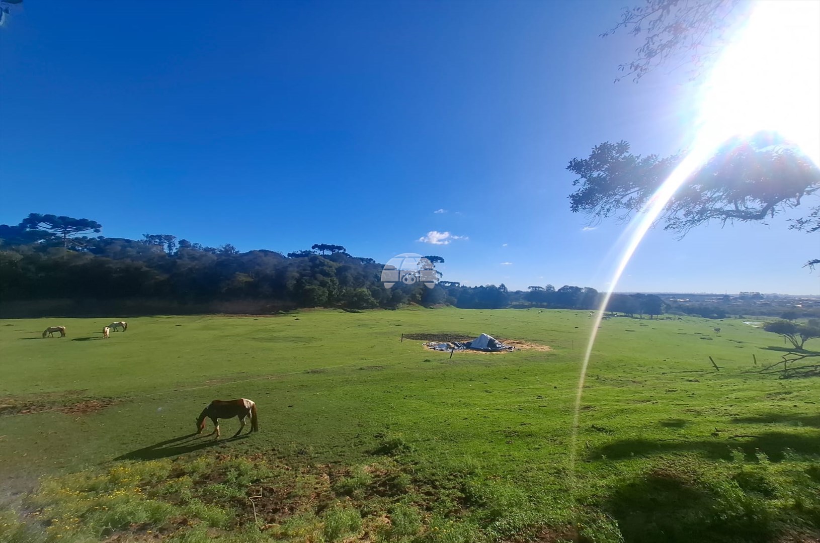 Galpão/Depósito/Armazém para alugar em Guarituba, Piraquara — Portal Chave Fácil