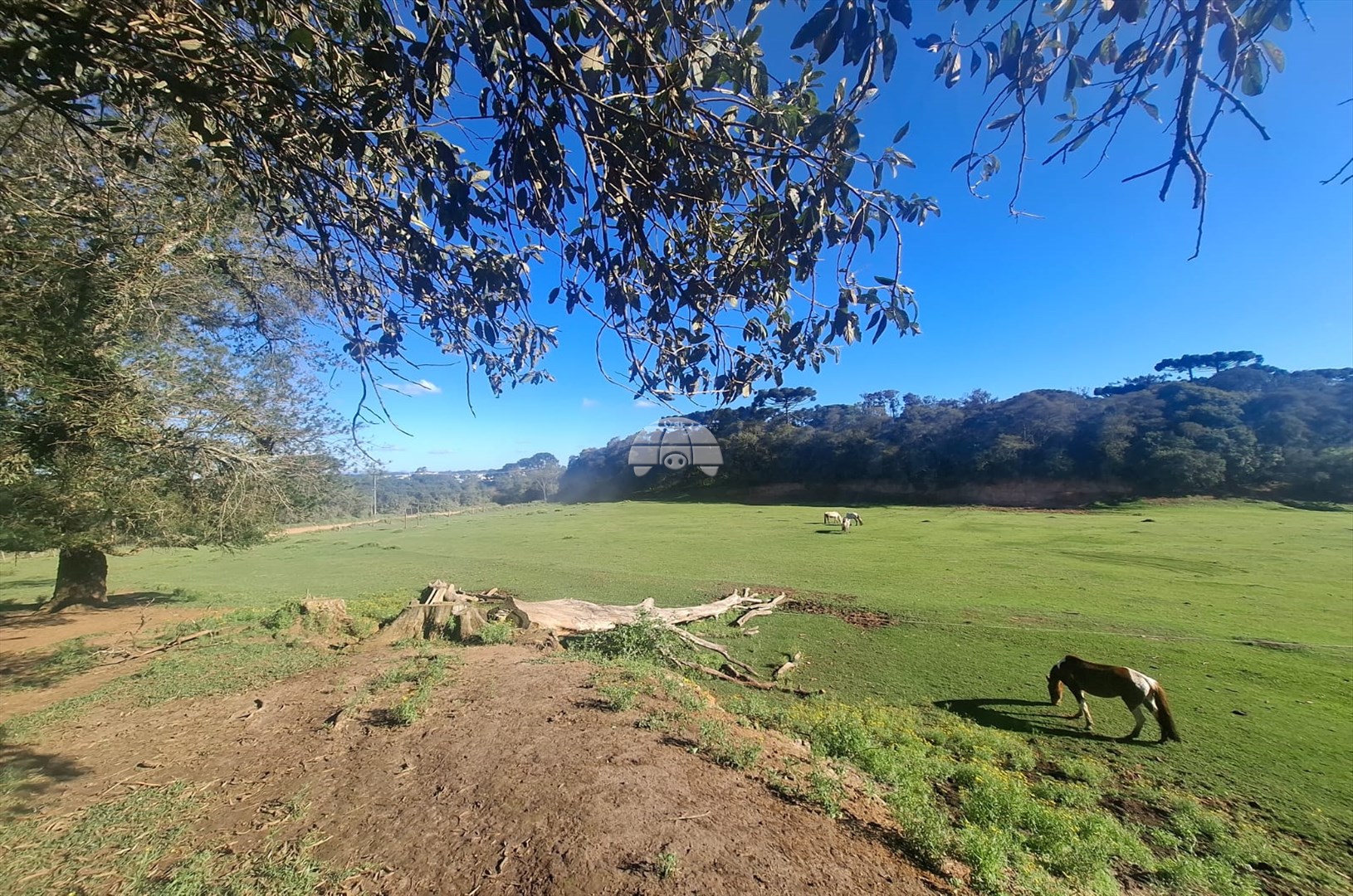 Galpão/Depósito/Armazém para alugar em Guarituba, Piraquara — Portal Chave Fácil