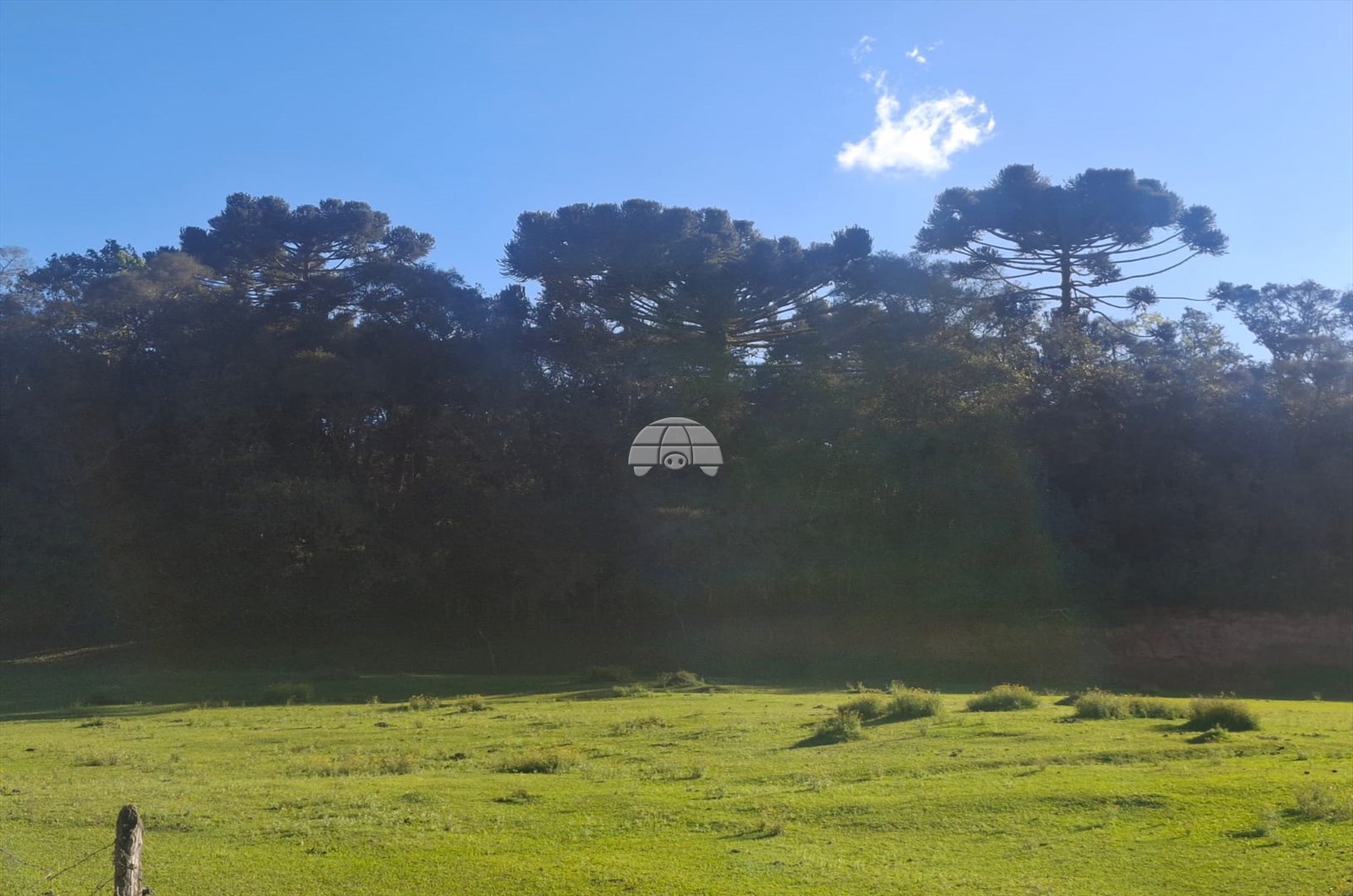 Galpão/Depósito/Armazém para alugar em Guarituba, Piraquara — Portal Chave Fácil