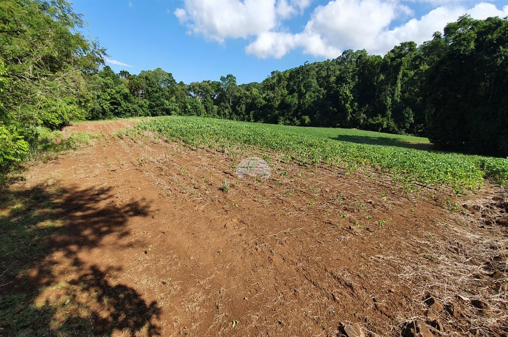 Chácara à venda em Zona Rural, Pato Branco — Portal Chave Fácil