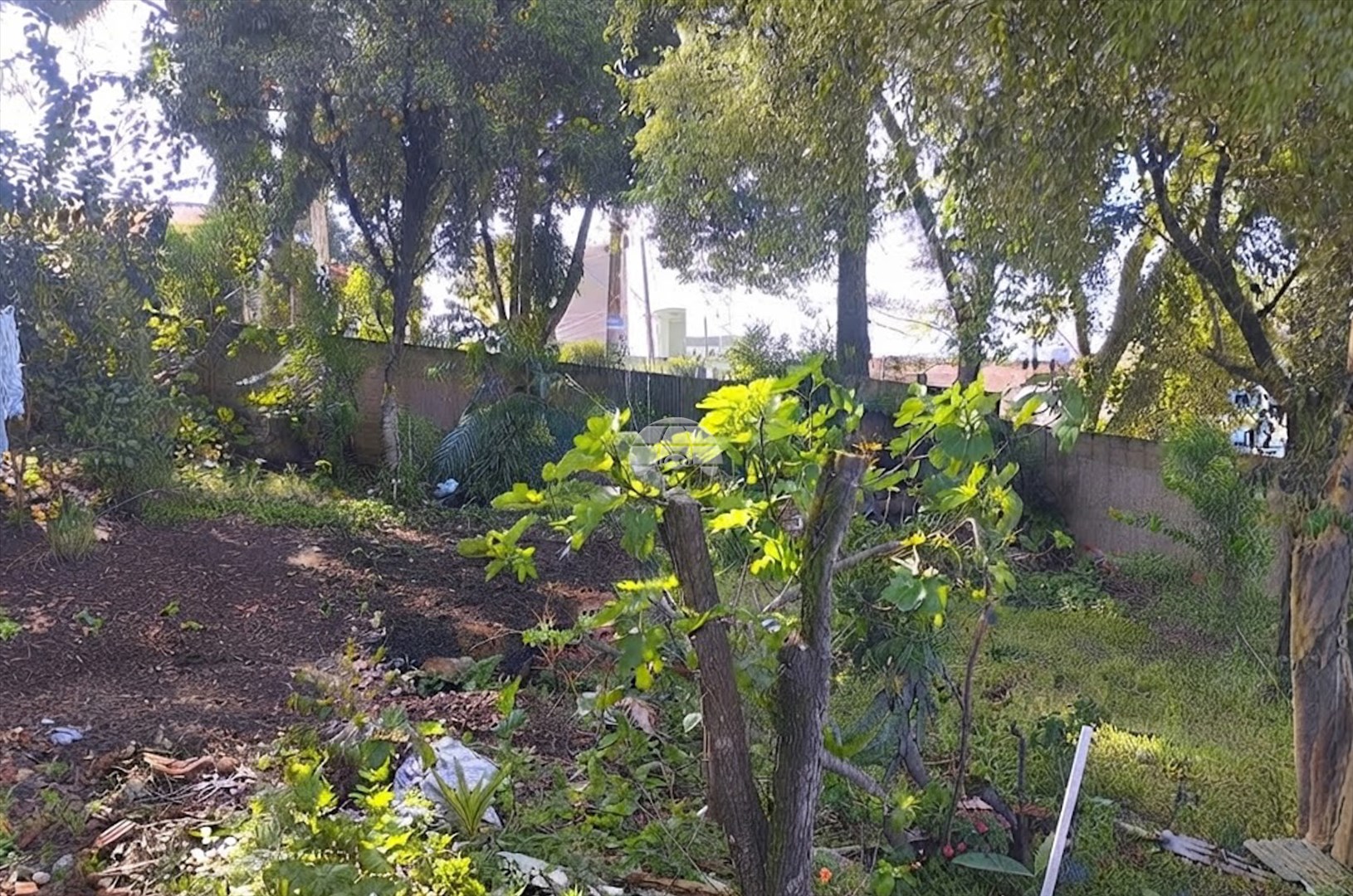 Terreno à venda em Ouro Fino, São José dos Pinhais — Portal Chave Fácil