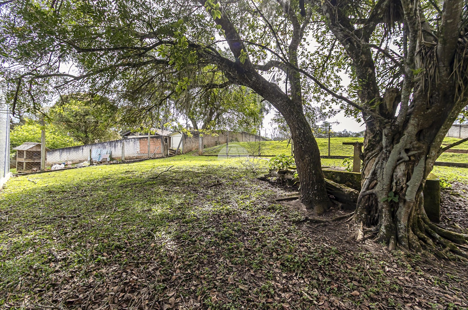 Terreno à venda em Colônia Faria, Colombo — Portal Chave Fácil