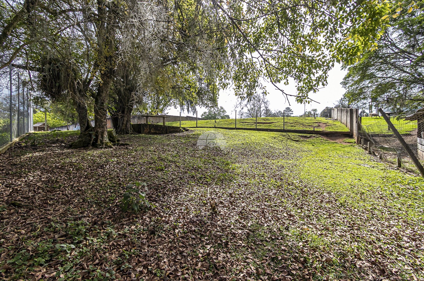 Terreno à venda em Colônia Faria, Colombo — Portal Chave Fácil