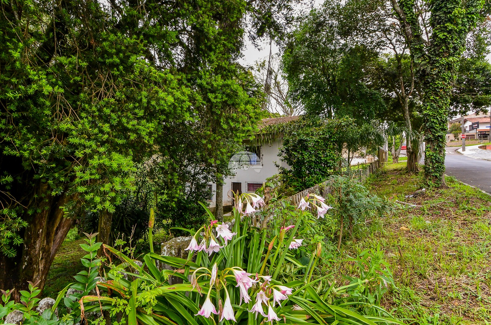Casa à venda em Santa Felicidade, Curitiba — Portal Chave Fácil