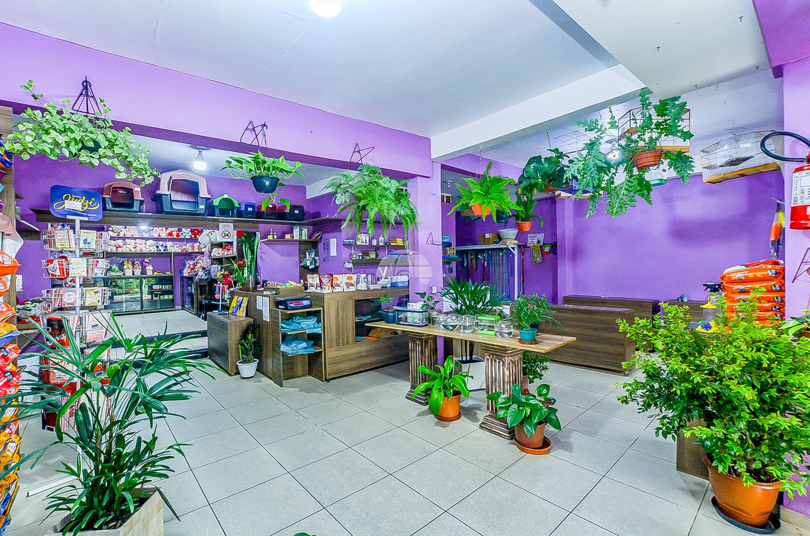 Casa à venda em Campo De Santana, Curitiba — Portal Chave Fácil