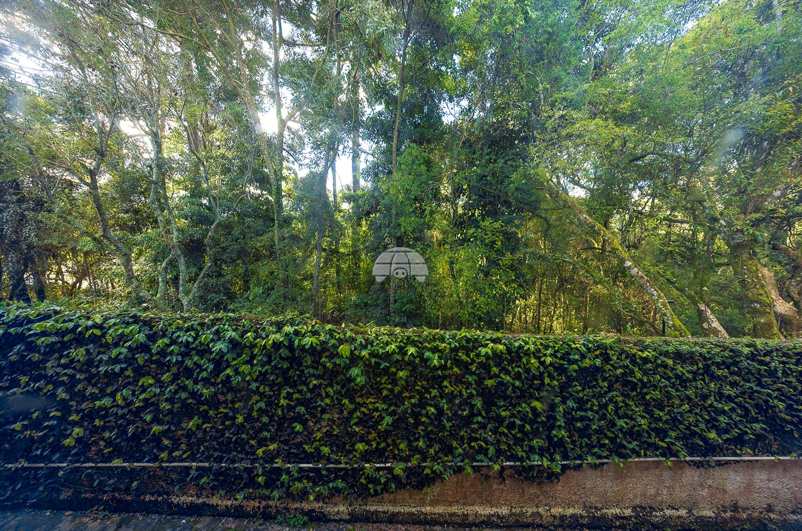 Apartamento para alugar em Campo Comprido, Curitiba — Portal Chave Fácil